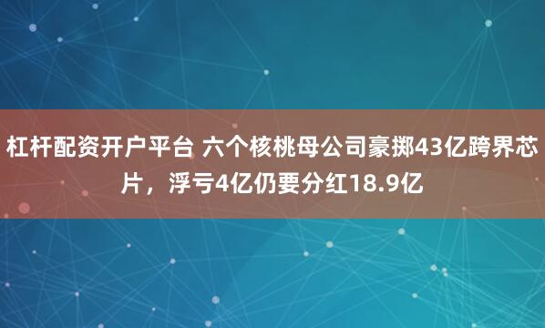 杠杆配资开户平台 六个核桃母公司豪掷43亿跨界芯片，浮亏4亿仍要分红18.9亿